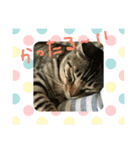 くりくりな生活（個別スタンプ：4）