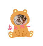 くりくりな生活（個別スタンプ：6）