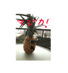 パイナップルマンのささやき（個別スタンプ：8）