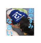 可愛い可愛い娘ちん（個別スタンプ：15）