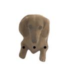 可愛い犬 コレクション（個別スタンプ：5）