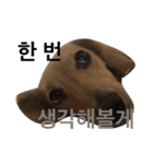 可愛い犬 コレクション（個別スタンプ：8）