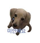 可愛い犬 コレクション（個別スタンプ：13）