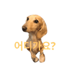 可愛い犬 コレクション（個別スタンプ：21）