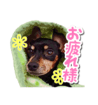 麦セリフスタンプ（個別スタンプ：1）