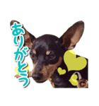 麦セリフスタンプ（個別スタンプ：2）
