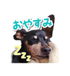 麦セリフスタンプ（個別スタンプ：4）