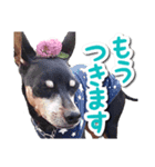 麦セリフスタンプ（個別スタンプ：8）