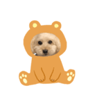 犬ーモコ（個別スタンプ：6）