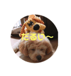 ポメプー サスケの日常（個別スタンプ：9）