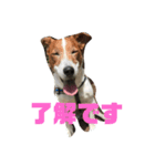 僕ゴエモン（個別スタンプ：2）