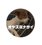 僕ゴエモン（個別スタンプ：5）
