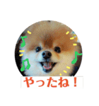 ハルク イッチバーン（個別スタンプ：2）