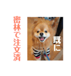 ハルク イッチバーン（個別スタンプ：3）