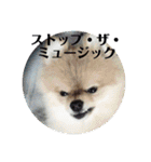 ハルク イッチバーン（個別スタンプ：5）