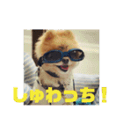 ハルク イッチバーン（個別スタンプ：14）