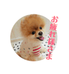 ハルク イッチバーン（個別スタンプ：22）