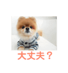 ハルク イッチバーン（個別スタンプ：23）