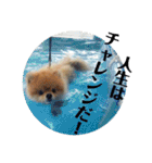ハルク イッチバーン（個別スタンプ：30）