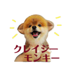 ハルク イッチバーン（個別スタンプ：31）
