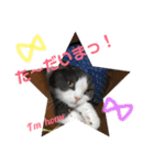 Polco2（個別スタンプ：9）