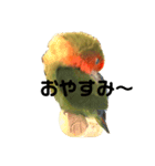 インコのセセリくん1（個別スタンプ：6）
