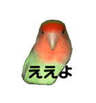 インコのセセリくん2（個別スタンプ：2）
