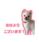 くうぽちのすたんぷ（個別スタンプ：3）