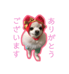 くうぽちのすたんぷ（個別スタンプ：6）