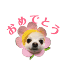 くうぽちのすたんぷ（個別スタンプ：7）