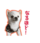 くうぽちのすたんぷ（個別スタンプ：10）