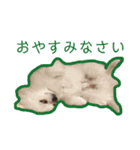 くうぽちのすたんぷ（個別スタンプ：11）