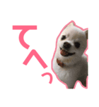 くうぽちのすたんぷ（個別スタンプ：14）