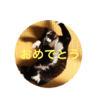 ルークとそうや（個別スタンプ：8）