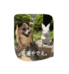 スーちゃん好き好き（個別スタンプ：2）