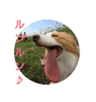 ぼくコール君、妹のナナちゃん。（個別スタンプ：16）