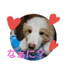 ぼくコール君、妹のナナちゃん。（個別スタンプ：18）