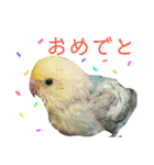 セキセイインコパルの1日Vol.2（個別スタンプ：24）