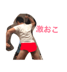 鵜沢のスタンプ（個別スタンプ：1）