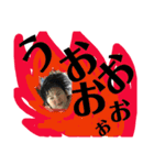 ワイルドスカイくんの名言集（個別スタンプ：12）