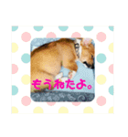 山本のスタンプやで（個別スタンプ：3）