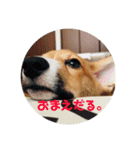 山本のスタンプやで（個別スタンプ：11）