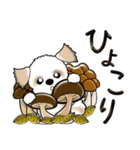 【大きめ文字】シーズー犬の秋 Vol.16（個別スタンプ：3）