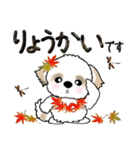 【大きめ文字】シーズー犬の秋 Vol.16（個別スタンプ：18）