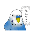 とりちゃんのスタンプ（個別スタンプ：6）