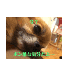 毎日かなやん。（個別スタンプ：3）