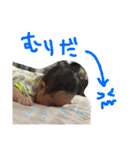 おにいとぼく（個別スタンプ：6）
