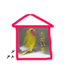あおあおの日常 2（個別スタンプ：30）