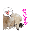 ロキシースタンプ（個別スタンプ：8）