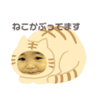 きぬの日常（個別スタンプ：9）